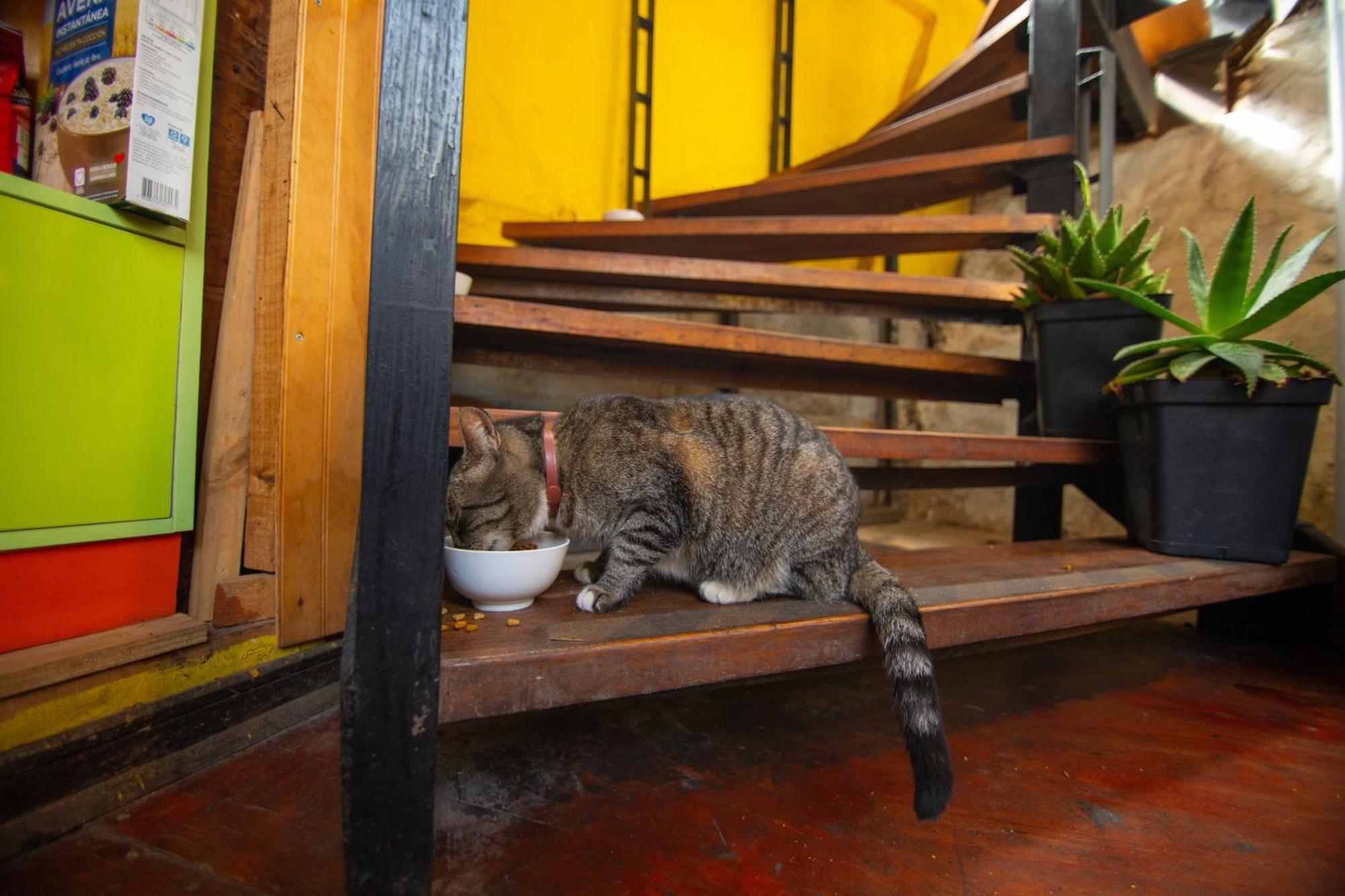 Hostal La Casa Del Puerto Valparaíso Exterior foto